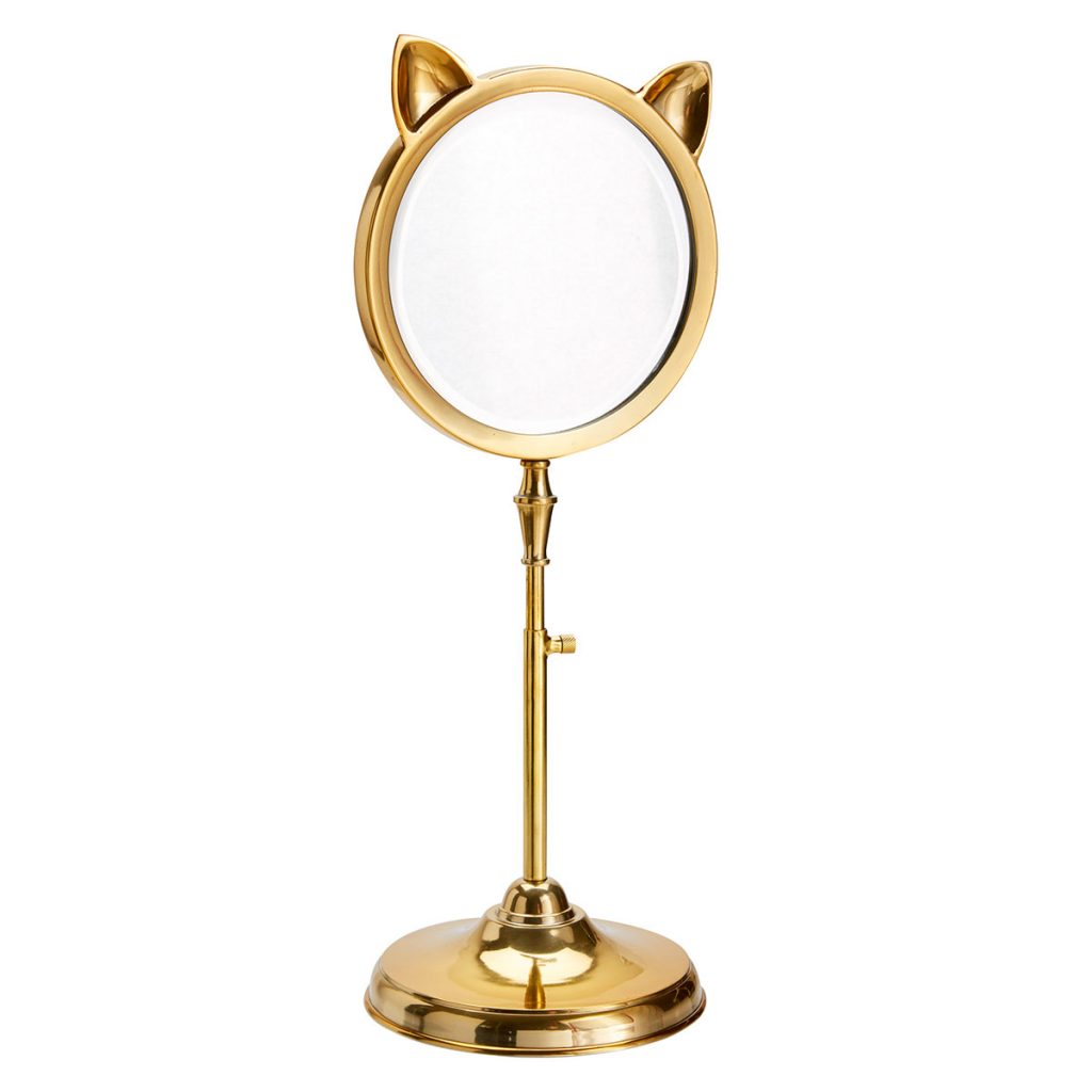 emily-and-meritt-cat-mirror